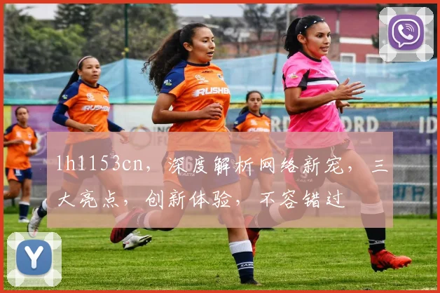 lh1153cn，深度解析网络新宠，三大亮点，创新体验，不容错过