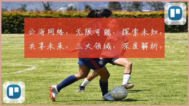 公海网络，无限可能，探索未知，共享未来，三大领域，深度解析，一网打尽。